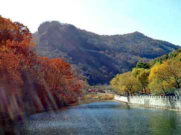 澳门天天好好免费资料，水洗高岭土价格